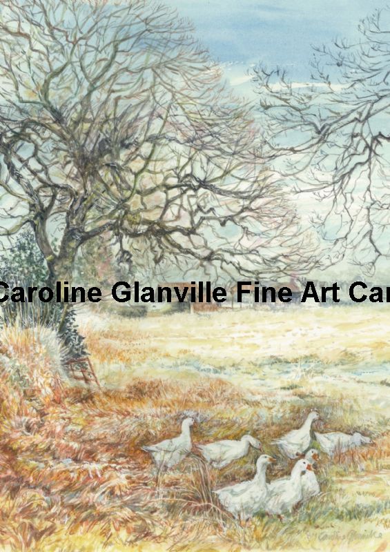 Geese in the winter frost, painting by Caroline Glanville