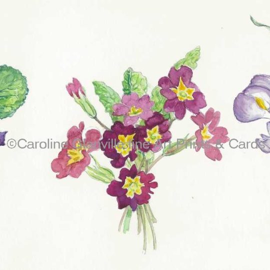 Ref. 38. Three Bouquets