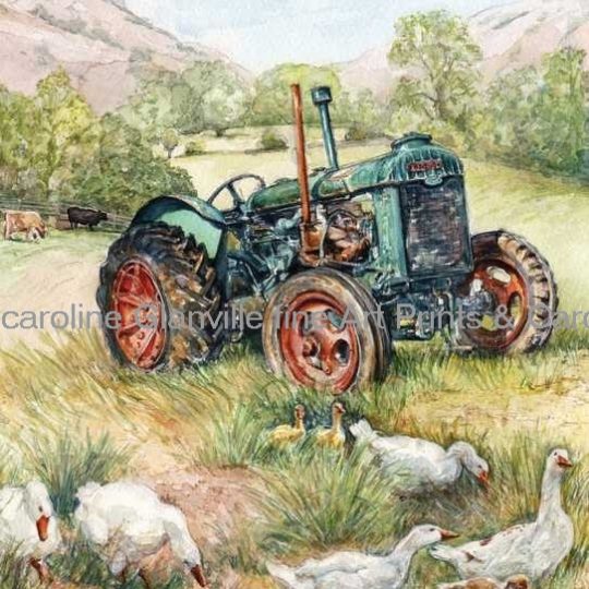 Ref: 51. Geese in the meadow