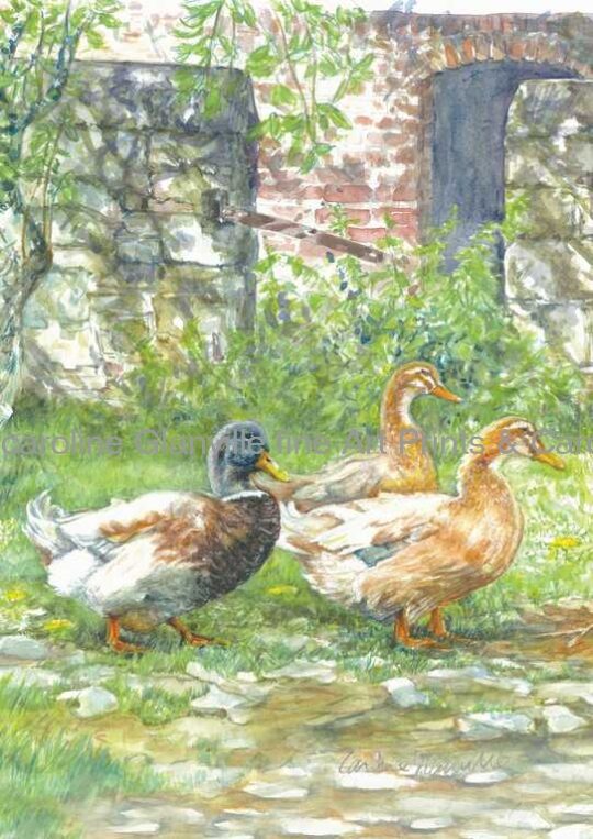 Ref: 83. Ducks & Drake - Greeting Card