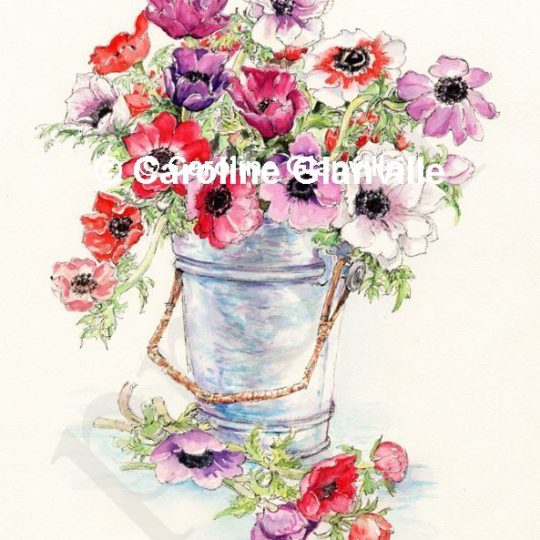 Ref. 23. Bucket of Anemones