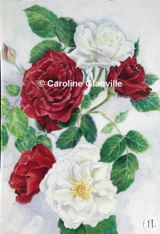 Ref.11. Roses