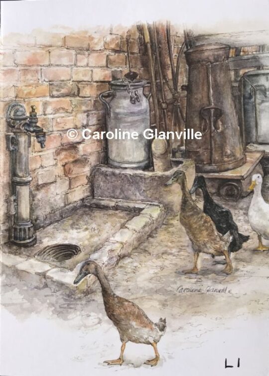 Ref. L1. Ducks at the farm museum