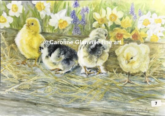 Ref. 07 Little hatchling chicks