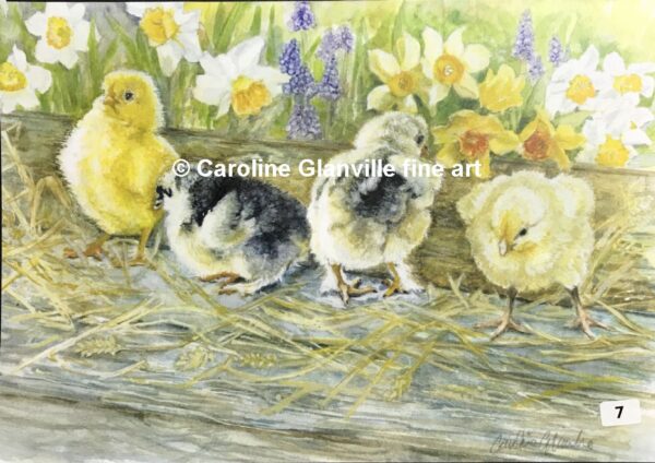 Ref. 07 Little hatchling chicks - Greeting Card