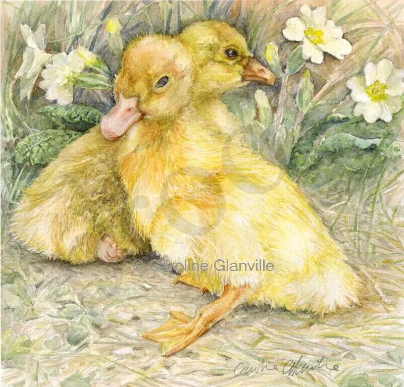 Ref: 56 Duckling & Gosling - Image 1