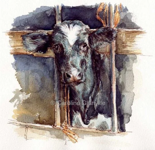 Ref: 02. Hello! - Greeting Card