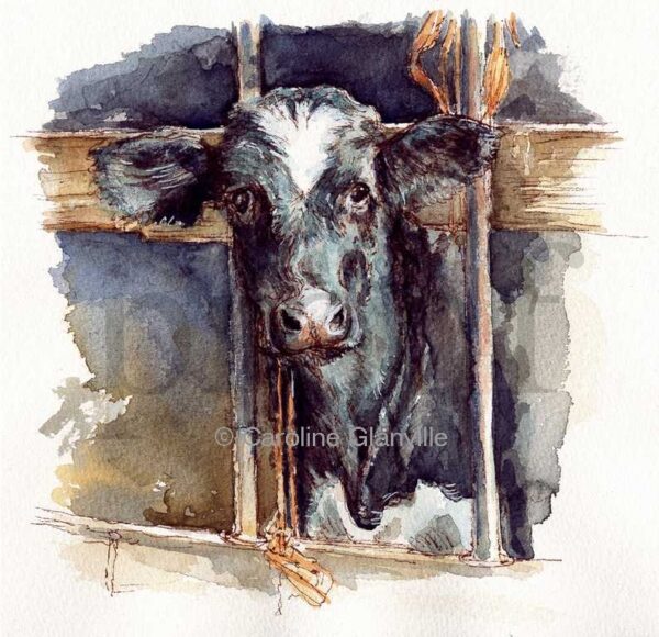 Ref: 02. Hello! - Greeting Card