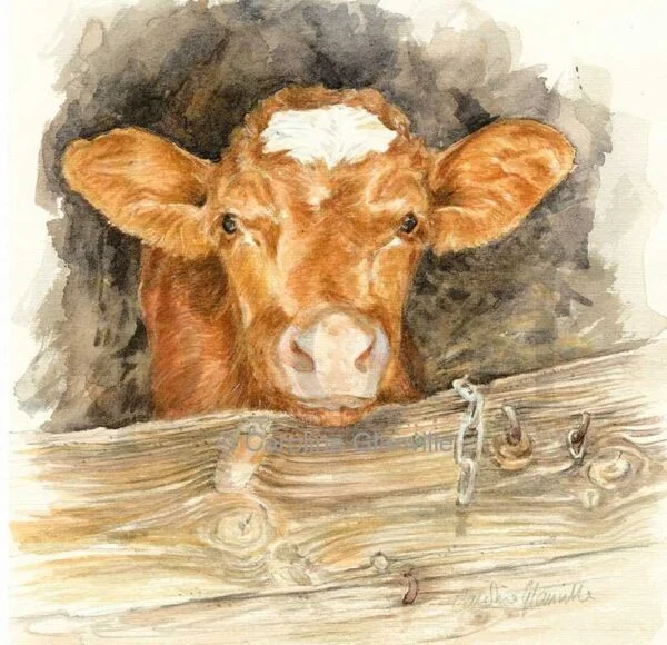 Ref: 79. Hi there!