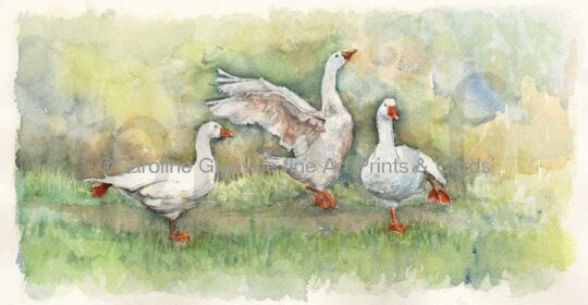 Ref: 08. Dancing Geese