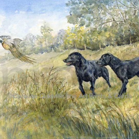 Ref: 82. Only Playing