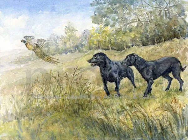 Ref: 82. Only Playing - Greeting Card