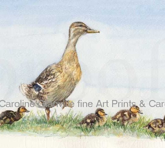 Ref: 03. First waddle