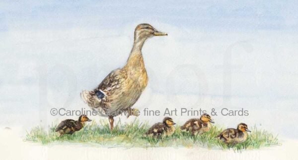 Ref: 03. First waddle
