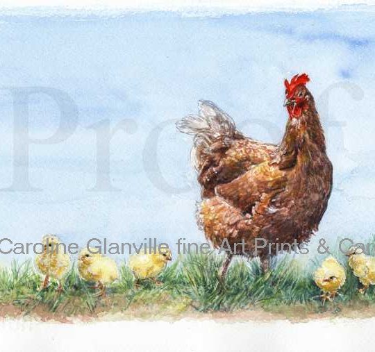 Ref: 31. Hen and chicks