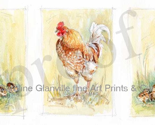 Ref: 26. Cockerel & hens