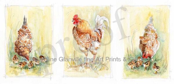 Ref: 26. Cockerel & hens - Greeting Card
