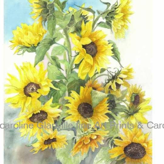 Ref. 98. Sunflowers