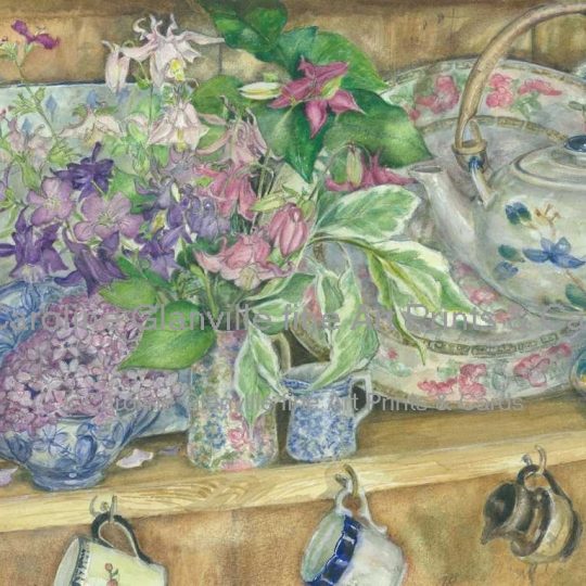 Ref. 44. Shelf with Aquilegia