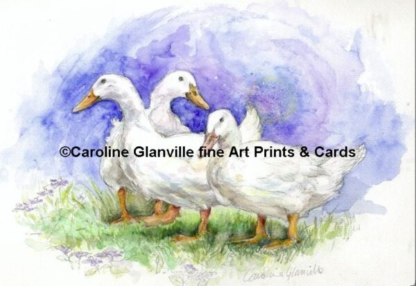 Ref: 30. Three White Ducks