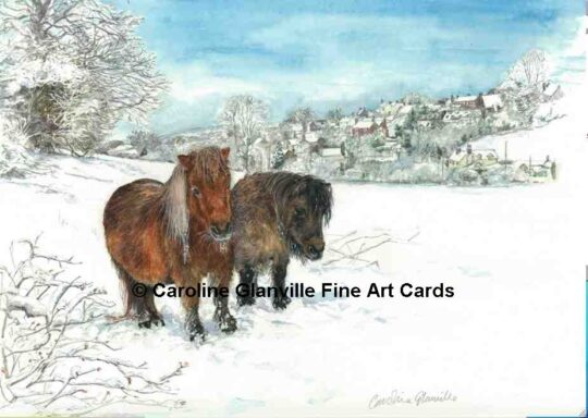 52. Ponies in the Snow, Broseley