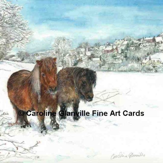 52. Ponies in the Snow, Broseley